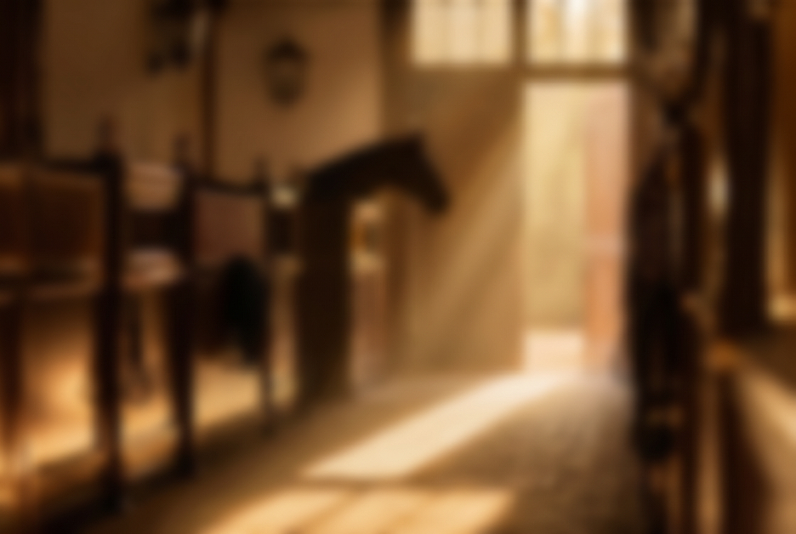 Morning light through the doors of a premium equestrian stable